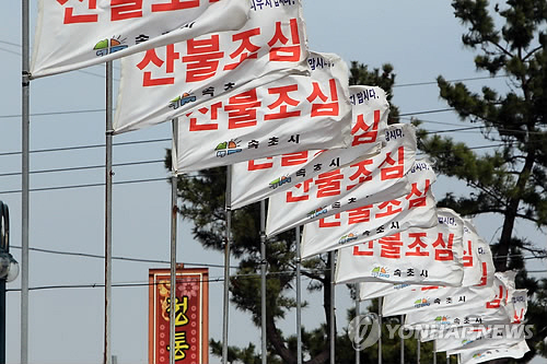 강원 동해안 7개 시·군, 오후 11시 강풍주의보 발령