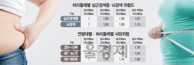 1115A31 그래픽