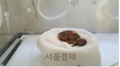 /사진제공=경남도