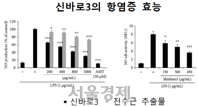 신바로3는 리포폴리사카라이드(LPS)를 처리한 염증 환경에서 같은 양의 천수근 추출물보다 염증반응의 주요 매개체인 산화질소(NO) 생성 억제 효능이 우수하고(왼쪽 그래프), 각종 염증성 변화를 매개하는 핵심 전사인자(NF-카파B)의 전사활동을 억제해 항염증 효능을 발휘(오른쪽 그래프)하는 것으로 나타났다.