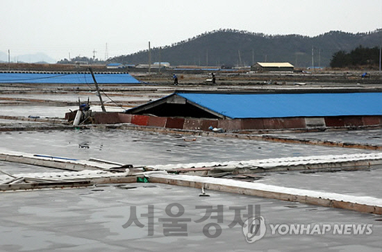 전라남도 신안군의 한 염전. /연합뉴스