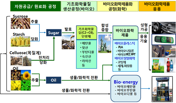 바이오 화학 산업의 가치사슬. /출처=한국화학연구원