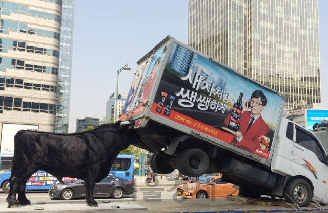 자동차용품 전문기업 불스원이 제작한 설치미술작품 ‘불끈황소’가 19일 서울 광화문 청계광장 인근에 전시돼 있다. 광고기획자 이제석 씨의 재치가 반영된 제품으로 불스원의 상징 동물인 황소가 1톤 트럭을 번쩍 들어올리는 모습을 표현했다. /사진제공=불스원