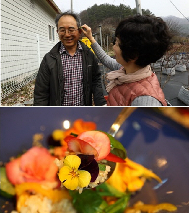 ‘한국기행’ 전북 완주 귀촌 부부의 봄 별미 ‘민들레 비빔밥’