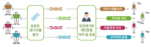 ‘유전자 맞춤 체지방 관리 모델’ 개념도