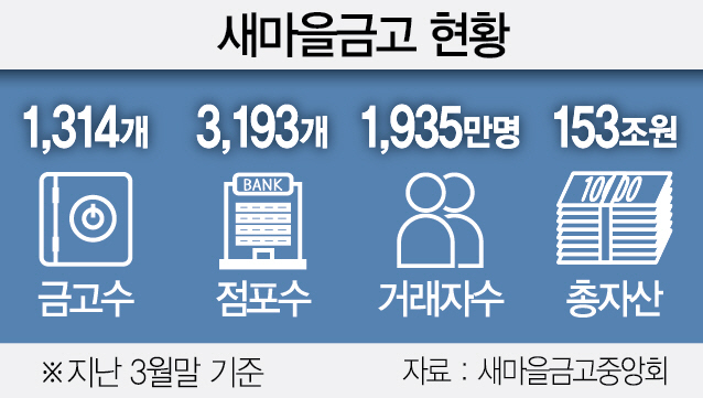 2515A10 새마을금고 현황