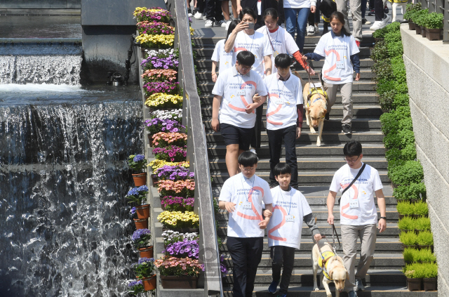 '세계안내견의 날'을 맞아 25일 서울 청계광장에서 삼성화재 안내견학교 주최로 열린 '안내견 보행체험'에서 참가자들이 안내견, 안내견 훈련사와 함께 보행체험을 하고 있다./권욱기자ukkwon@sedaily.com