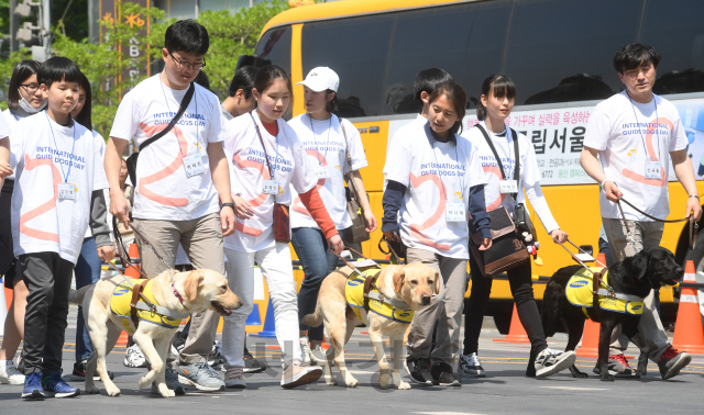 '세계안내견의 날'을 맞아 25일 서울 청계광장에서 삼성화재 안내견학교 주최로 열린 '안내견 보행체험'에서 참가자들이 안내견, 안내견 훈련사와 함께 보행체험을 하고 있다./권욱기자ukkwon@sedaily.com