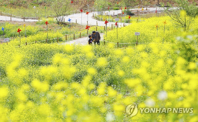 4월의 마지막 일요일인 내일(29일), 전국 맑고 ‘초여름’ 날씨 · 미세먼지는 ‘나쁨’ 일교차 유의할 것