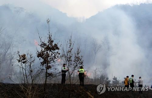 안양 석수동 삼성산 산불 발생, 긴급재난문자 발송 “인근 주민 대피”