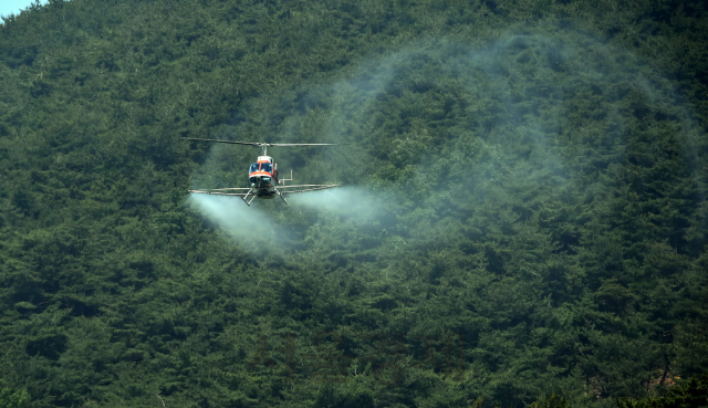 산림청 헬기가 소나무재선충병 항공방제를 실시하고 있다. 사진제공=산림청