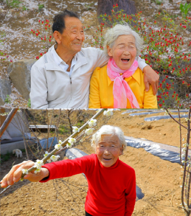 ‘한국기행’ 충북 청주 80대 노부부 꽃단장하고 꽃놀이 가는 날