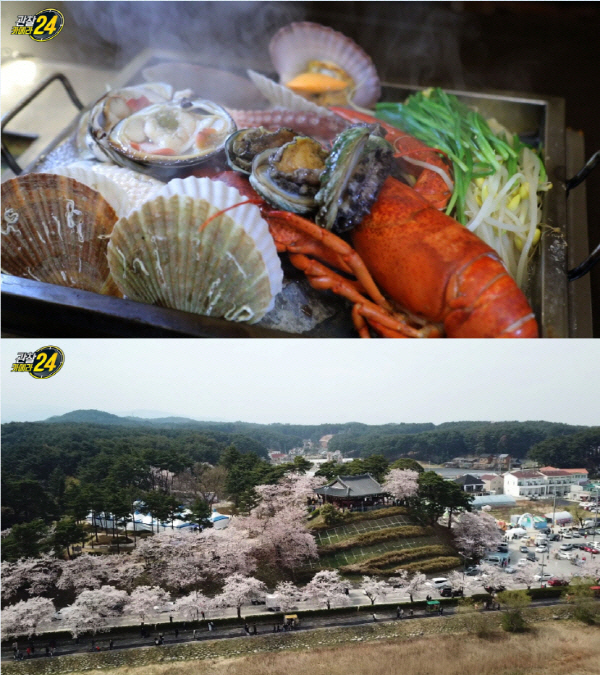 ‘관찰카메라24’ 강릉 당일치기 여행, 경포벚꽃축제·해송숲길·안덕해변