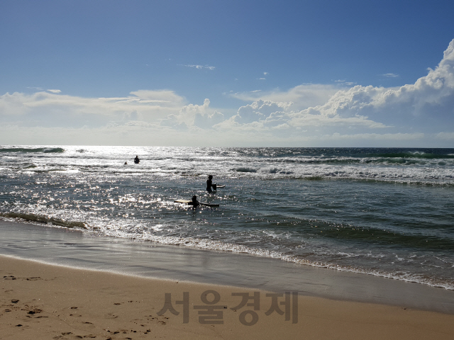 [休] 햇살 머금은 남태평양의 은빛물결…하늘을 시샘한 바다