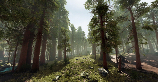 숲의 청량감을 느낄 수 있는 ‘VR-바이오피드백시스템’의 화면. /사진제공=삼성서울병원