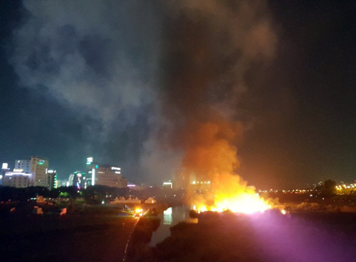 유성온천축제 개막식 불꽃놀이 중 화재…갑천 갈대섬 1천㎡ 태워