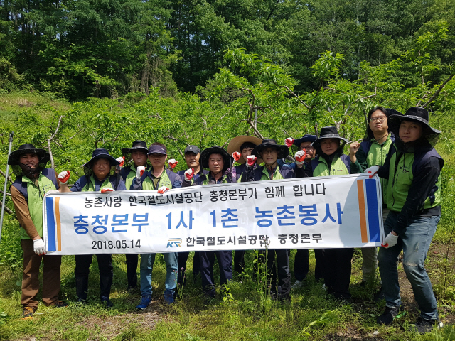 철도공단 충청본부 직원들이 1사1촌 마을에서 복숭아 솎기 등 일손을 보탠 뒤 기념촬영을 하고 있다. 사진제공=철도공단 충청본부