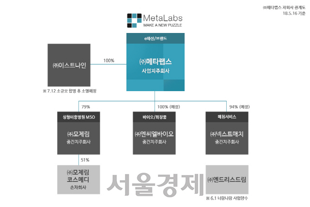 메타랩스 자회사 관계도./사진제공=메타랩스