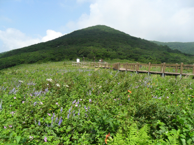 ‘이달의 추천 국유림 명품숲’으로 선정된 곰배령 정상. 사진제공=산림청