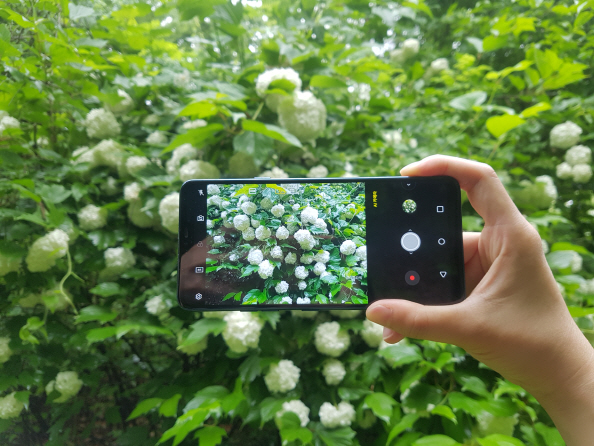 LG전자 전략 스마트폰 G7 씽큐(ThinQ)의 AI카메라 기능을 켜고 꽃을 촬영하고 있다. /권경원기자