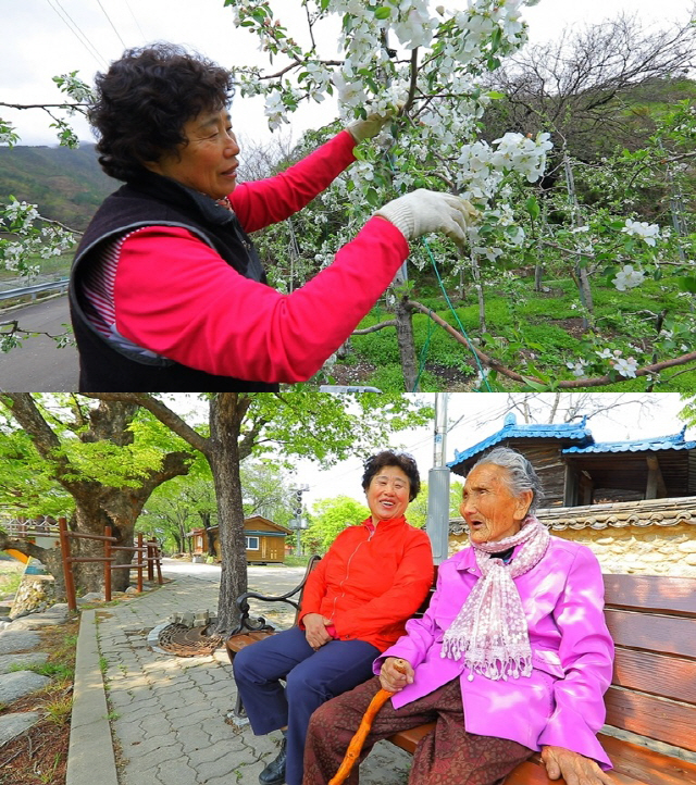 ‘한국기행’ 경남 거창 ‘45년 단짝’ 115세 시어머니와 며느리 이야기