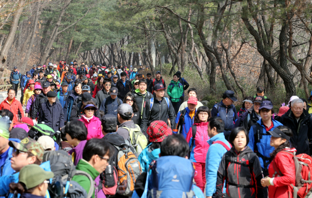 맑고 포근한 봄을 맞아 수많은 등산객들이 서울 관악산에 오르고 있다./서울경제DB