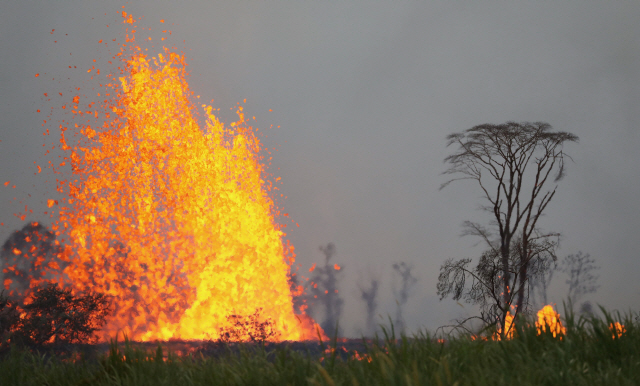 미국 하와이 카포호 지역에서 19일(현지시간) 새벽 용암이 분출하고 있다. 이날 폭발로 최근 킬라우에아 화산 활동 후 처음으로 부상자가 발생했다.       /카포호=AFP연합뉴스