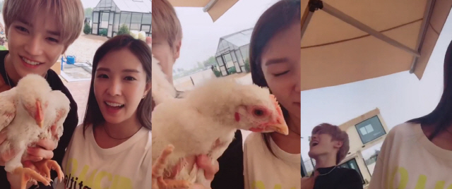‘식량일기’ 닭의 역습 받은 보아-NCT 태용 ‘혼비백산’ 폭소유발