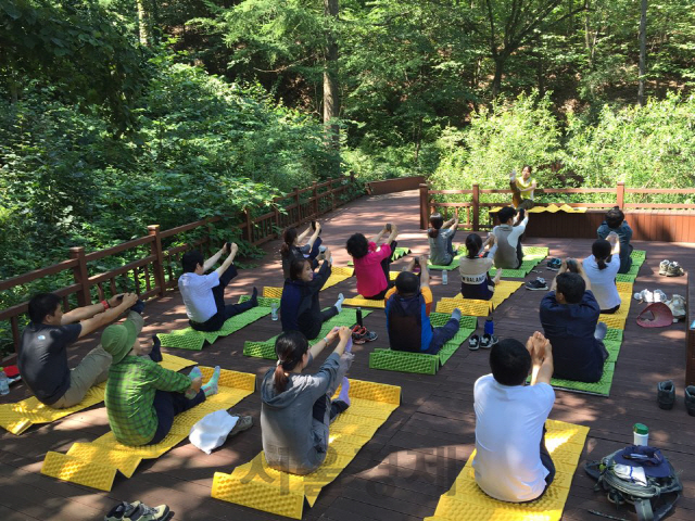 국립산림치유원이 운영중인 산림치유프로그램. 사진제공=한국산림복지진흥원