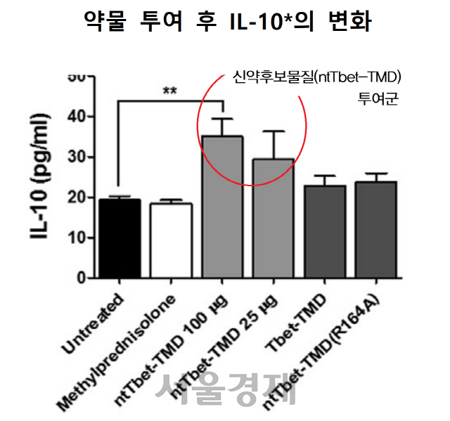 *인터루킨(IL)-10은 면역억제성 사이토카인으로 분비량 증가는 ‘조절 T세포’의 수 증가와 함께 신장에서 자가면역 반응과 염증물질이 줄었음을 뜻한다.