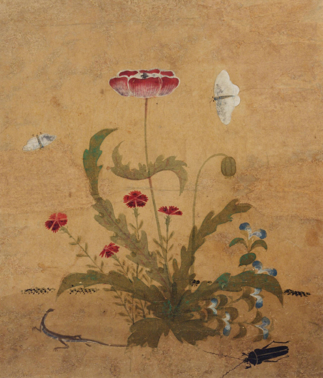 [조상인의 예(藝)-<63>신사임당 '초충도']고고한 양귀비꽃에 날아든 나비 한쌍...多産·長壽를 기원하다