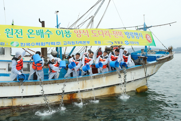 한국수력원자력 고리원자력본부는 5일 부산시 기장군 장안읍 월내항에서 열린 ‘제19회 온배수 양식 어패류 방류행사’를 통해 강도다리 3만마리, 전복 2만미를 방류했다./사진제공=고리원자력본부