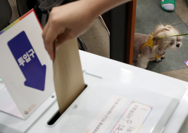 8일 오전 부산 동구 수정1동 주민센터에 마련된 사전투표소에서 강아지가 투표하는 주인을 기다리고 있다./연합뉴스