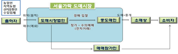 서울가락도매시장 유통구조. /자료=공정거래위원회