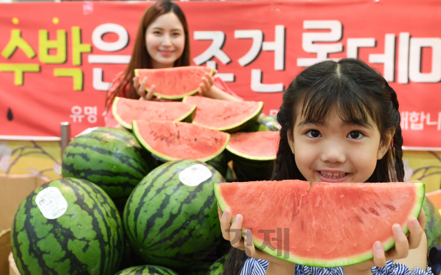 14일 서울 봉래동 롯데마트 서울역점에서 모델들이 음성, 덕산 등 농산물우수관리(GAP) 인증을 받은 산지 수박을 선보이고 있다. 가격은 1통(6~7kg)에 13,900원./권욱기자ukkwon@sedaily.com