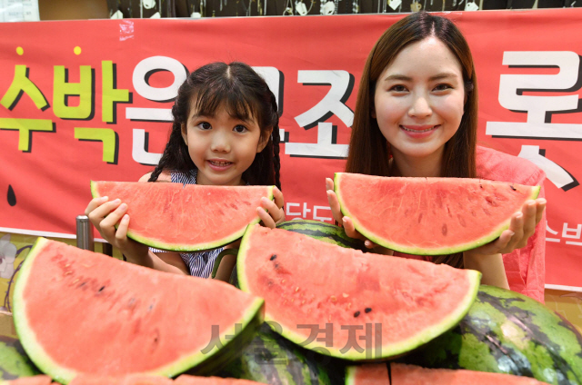 14일 서울 봉래동 롯데마트 서울역점에서 모델들이 음성, 덕산 등 농산물우수관리(GAP) 인증을 받은 산지 수박을 선보이고 있다. 가격은 1통(6~7kg)에 13,900원./권욱기자ukkwon@sedaily.com