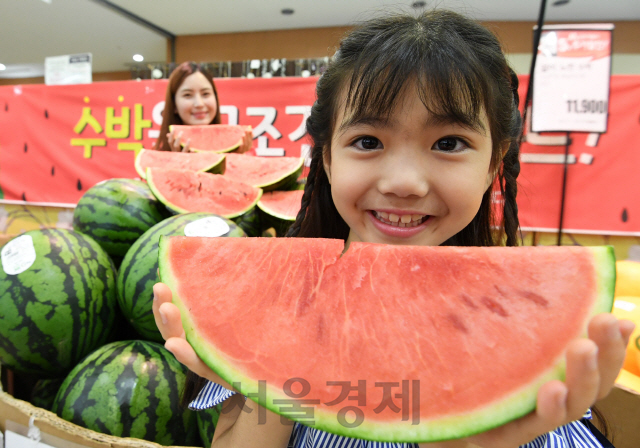 14일 서울 봉래동 롯데마트 서울역점에서 모델들이 음성, 덕산 등 농산물우수관리(GAP) 인증을 받은 산지 수박을 선보이고 있다. 가격은 1통(6~7kg)에 13,900원./권욱기자ukkwon@sedaily.com