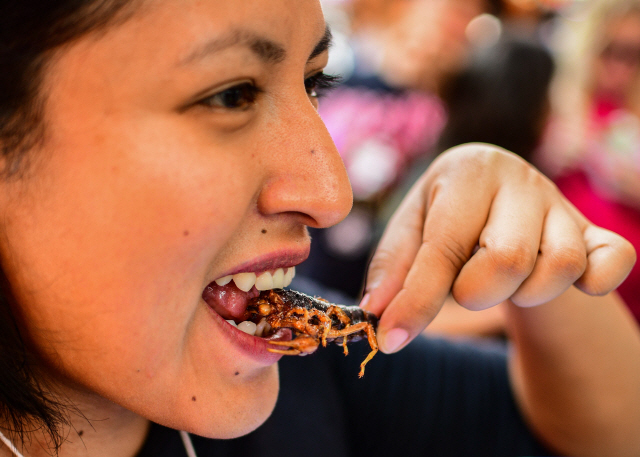 10일(현지시간)멕시코 식용 곤충 시장에서 한 여성이 전갈 요리를 먹고 있다. /AFP연합뉴스