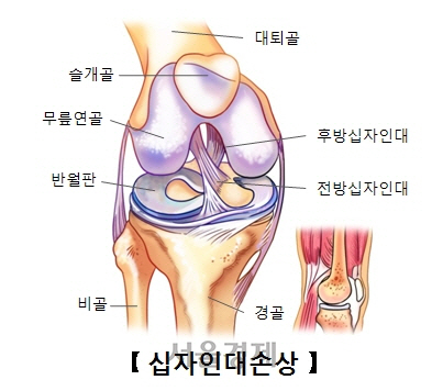 *출처: 서울아산병원