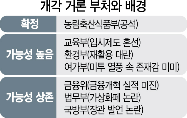 1815A02 개각 거론 부처와 배경