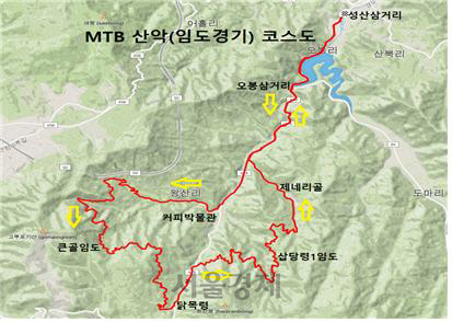 동해바다 보며 두 바퀴로 숲길 달린다