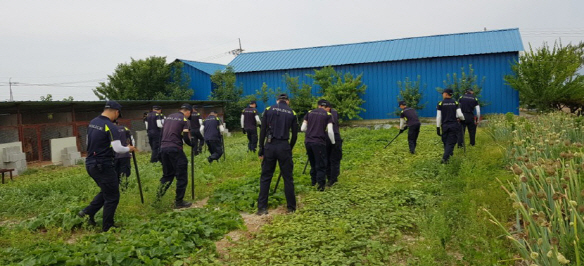 전남 강진에서 실종된 여고생을 찾기 위해 19일 오전 경찰이 수색작업을 펼치고 있는 모습./연합뉴스