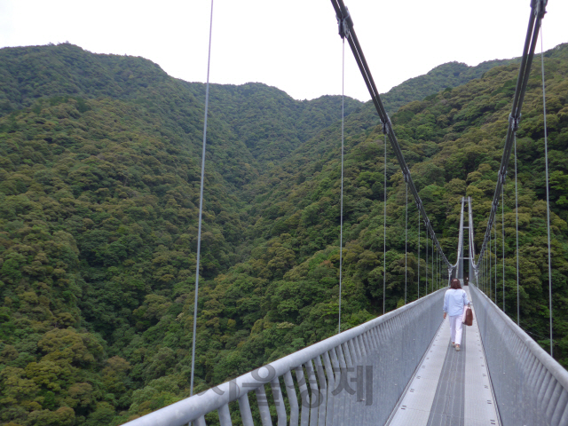높이 142m에 달하는 ‘데루하 대현수교’를 찾은 방문객이 다리 위를 걷고 있다.