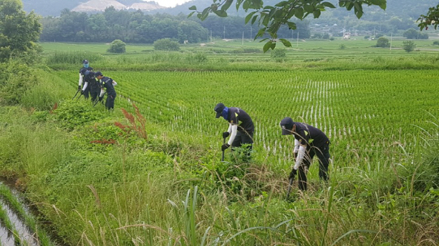 19일 오전 전남 강진군 도암면 일대에서 경찰이 인력과 열 감지 장비 탑재 헬기 등을 동원해 수색 작업을 벌이는 모습./연합뉴스