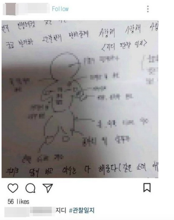 /사진=온라인 커뮤니티