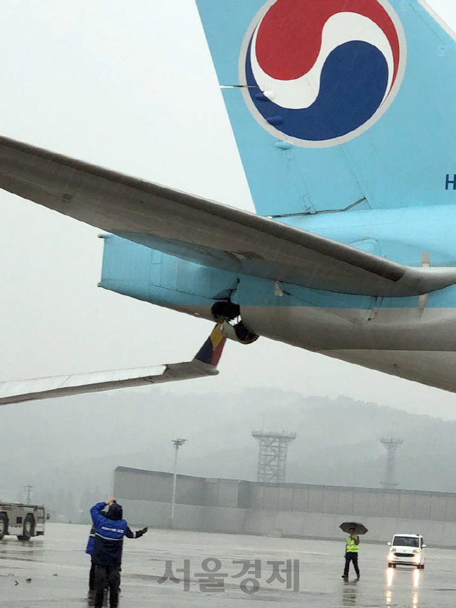 26일 오전 8시께 김포공항 주기장에서 이륙 전 탑승 게이트로 이동하던 아시아나항공 OZ3355편의 날개와 대한항공 KE2725편의 후미 꼬리 부분이 부딪히는 접촉사고가 발생했다
 대한항공 여객기의 꼬리 부분은 충돌로 찢어졌다./독자제공