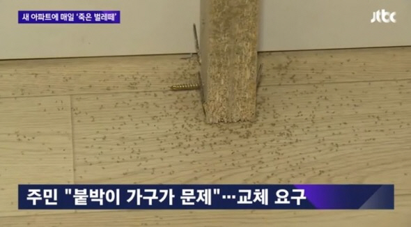 최근 방송을 통해 보도된 새 아파트 벌레 ‘외래종 혹파리’ 영상. /출처=JTBC 화면 캡처