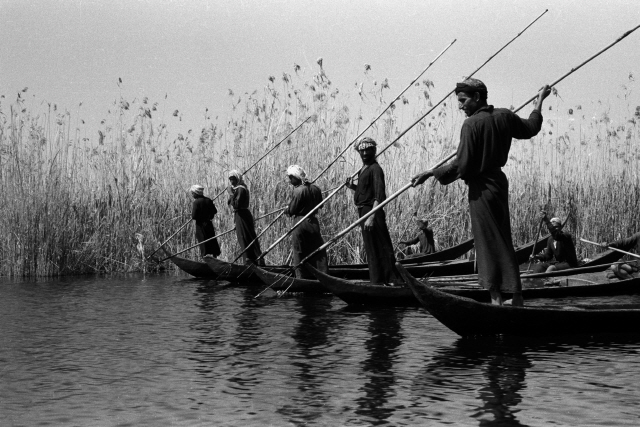 이라크 서쪽에서 창으로 고기를 잡는 습지대의 아랍인. 윌프레드 세시저(1910~2003)가 촬영했다. /사진제공=을유문화사