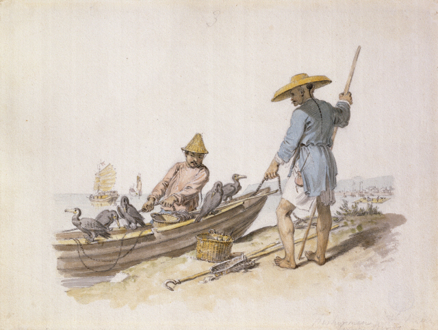 가마우지와 함께 있는 중국의 어부들. 윌리엄 알렉산더(1767~1816)의 수채화 /사진제공=을유문화사
