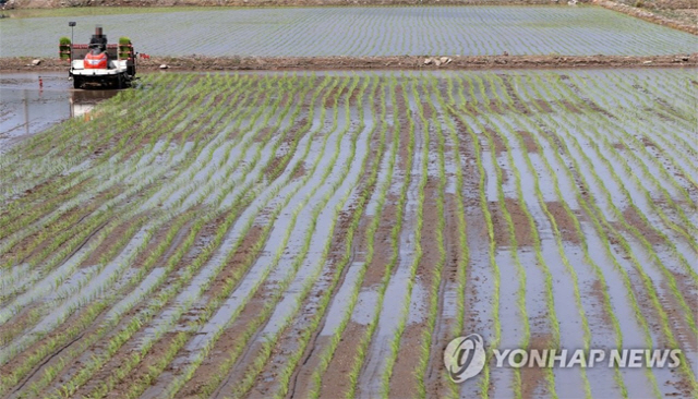 사진=연합뉴스 자료사진 (기사와 사진은 무관함)